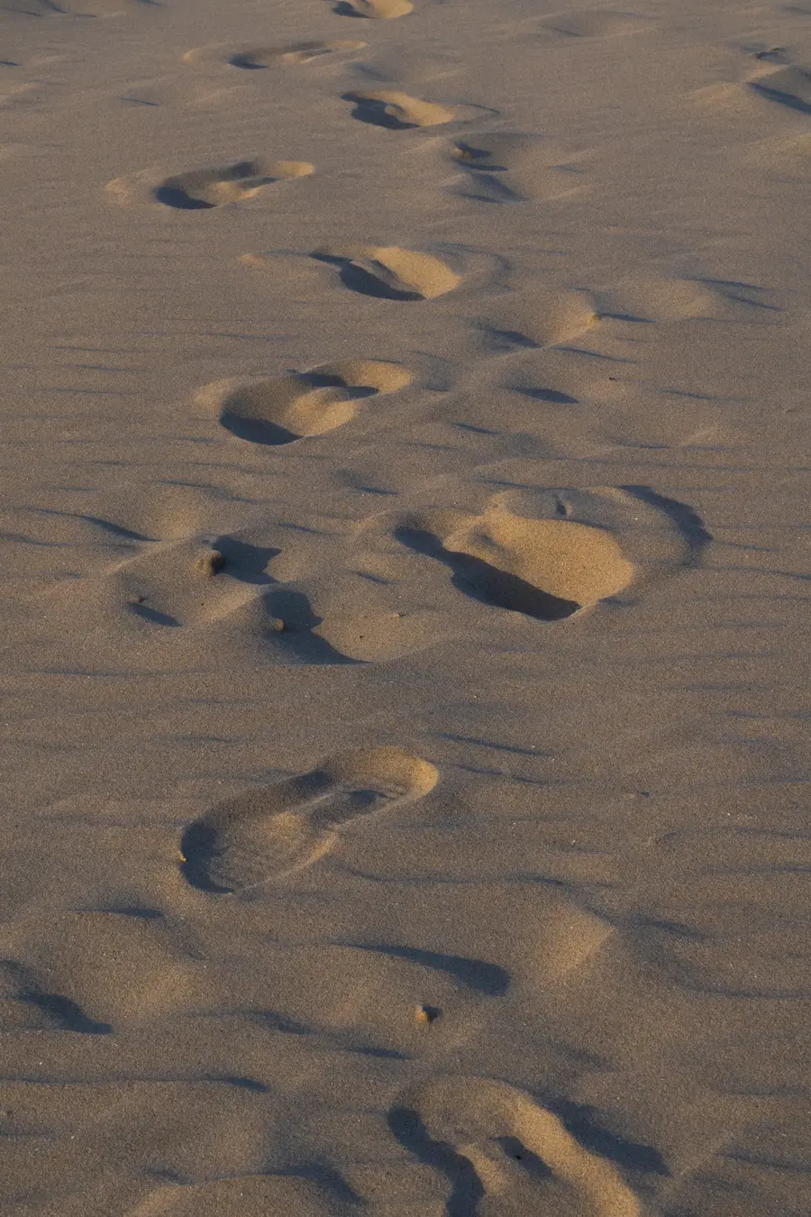 Netherlands · Texel