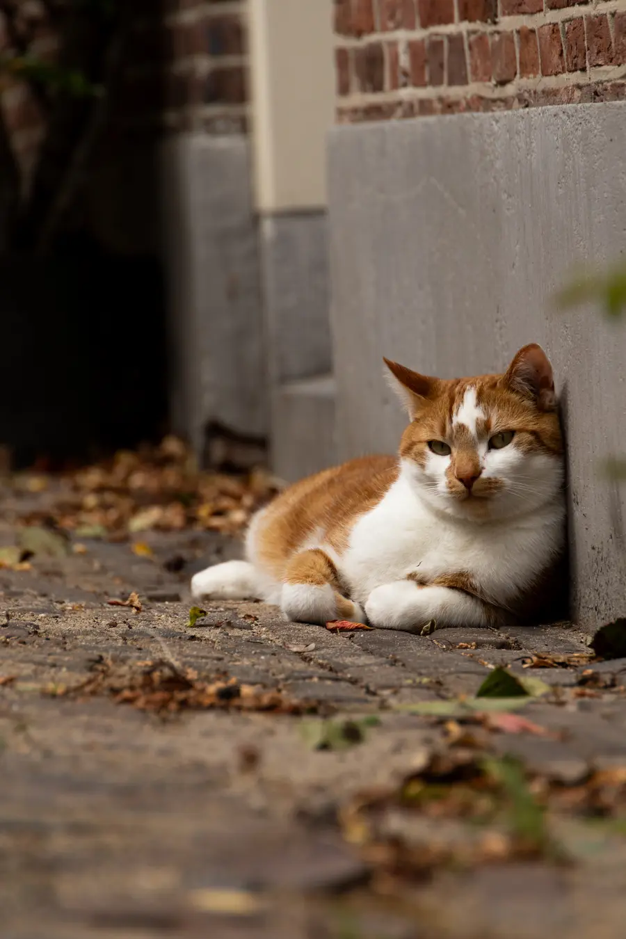 Netherlands · Utrecht