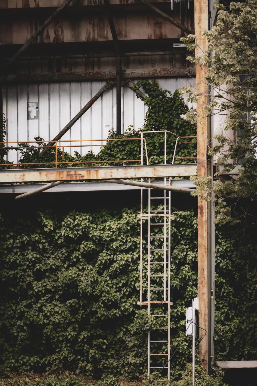 Prague · Open House Prague