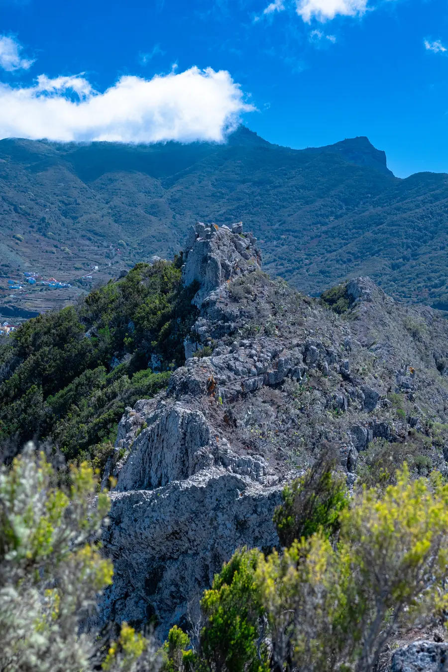 Tenerife · The North Aginst The South