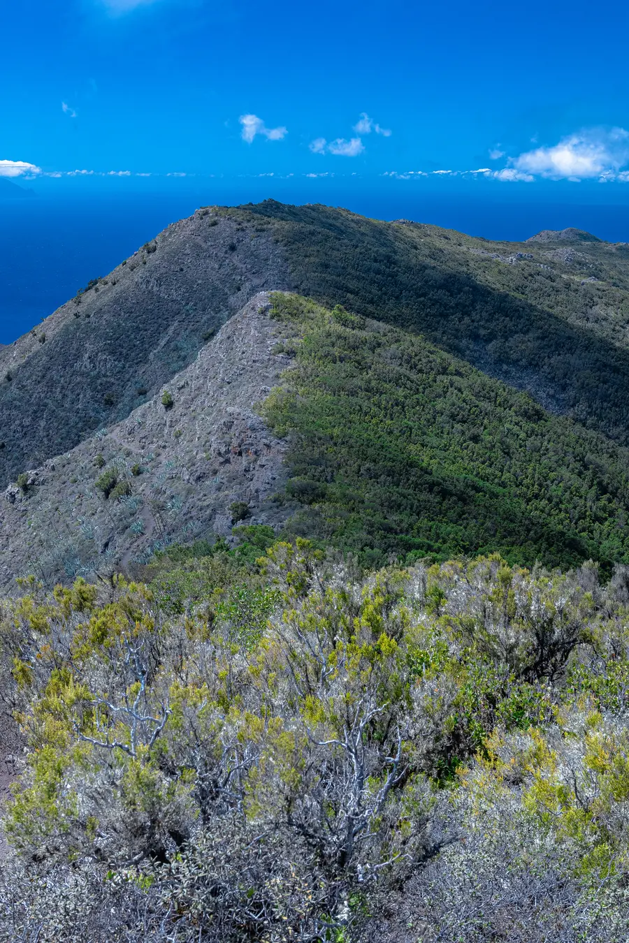 Tenerife · The North Aginst The South
